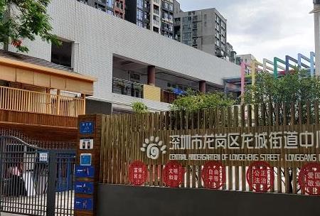 大型玩具安装行业领先，幼儿园玩具施工（深圳市龙城街道中心幼儿园）